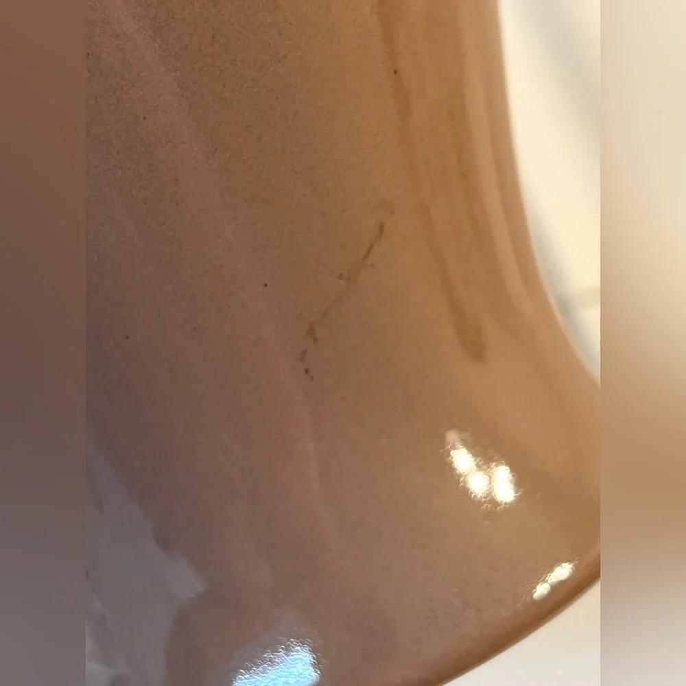 VTG Royal Haeger Light Brown Ceramic Pottery Signed Flower Vase 10 in Height